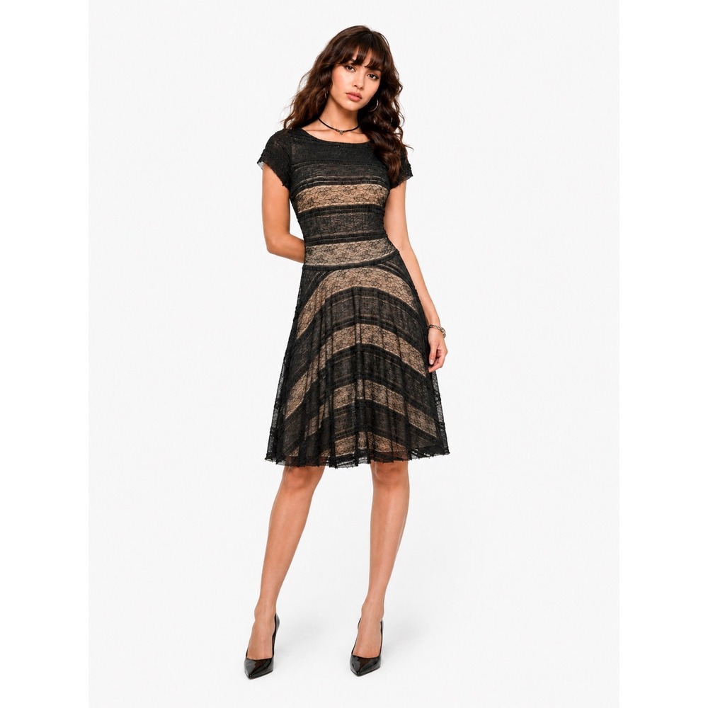 Sangria Womens Lace Fit and Flare Striped Mesh Dress Black Tan 4P Cocktail
